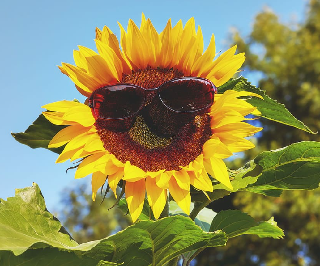Is UPF better than SPF?